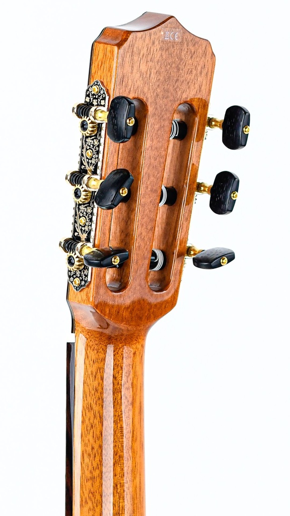 Cordoba Stage Limited Blue Burst | The Fellowship of Acoustics